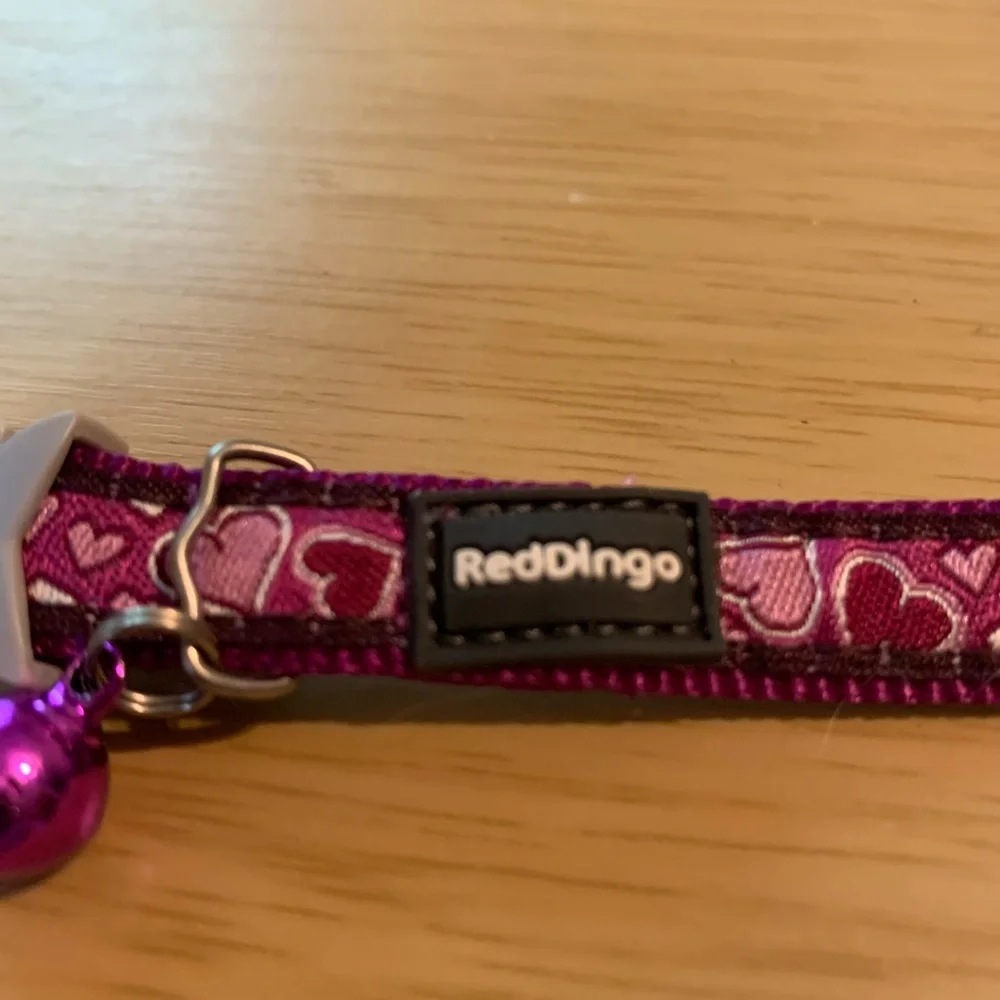 Brand new Purple Heart design cat collar has breakaway tan on collar purple bell
